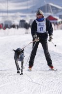 Lenk 2013